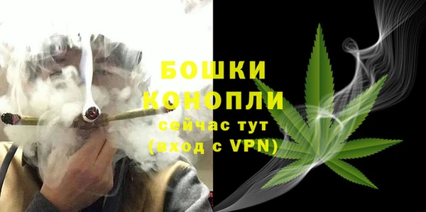 дживик Козловка