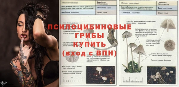 первитин Кодинск
