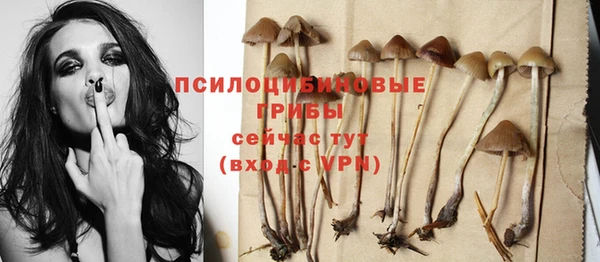 первитин Кодинск