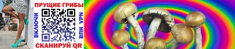 Псилоцибиновые грибы GOLDEN TEACHER  Купить закладки  Бронницы 